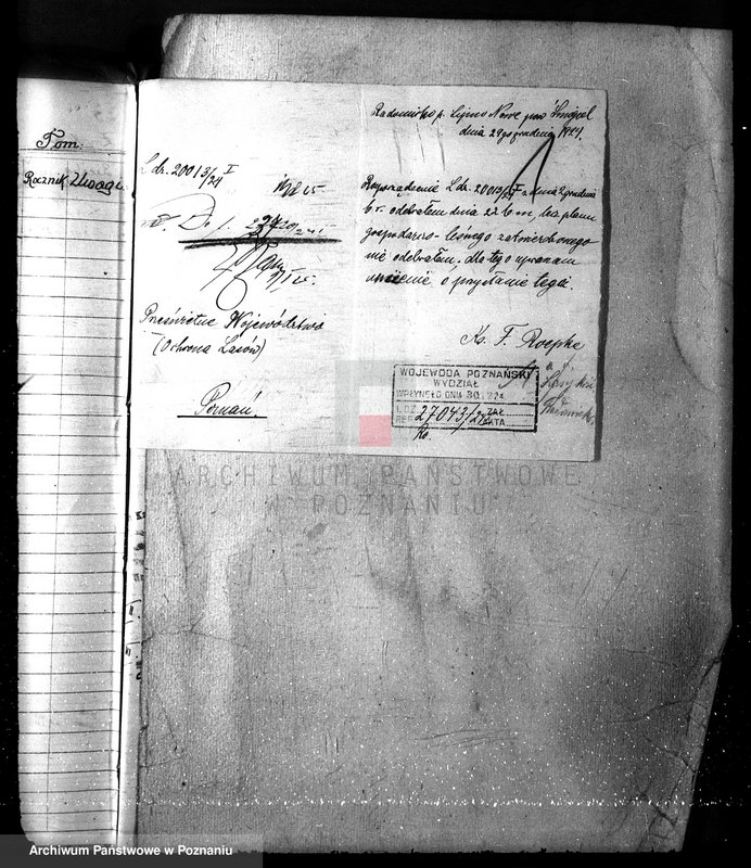 Obraz 5 z jednostki "Las parafialny kościoła w Radomicku powiat kościański"