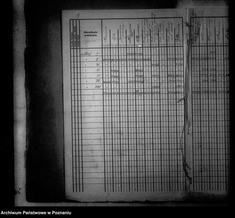 Obraz 5 z jednostki "Rejestr upraw i zasiewów dokonanych w jesieni 1935 r. w majątku Kotomierz powiatu bydgoskiego"