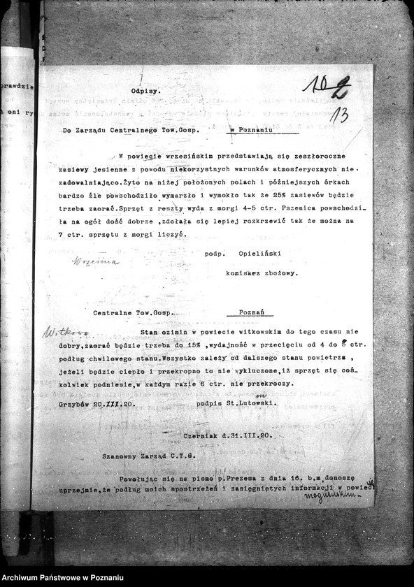 Obraz 17 z jednostki "Ziemiopłody - generalia"