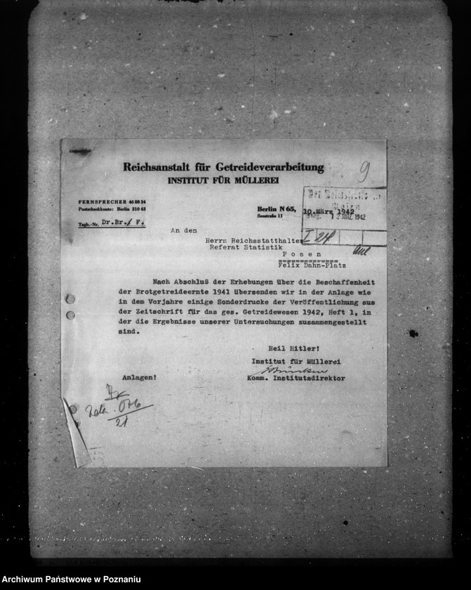 Obraz 13 z jednostki "Statystyka zapasów różnych zbóż i roślin"