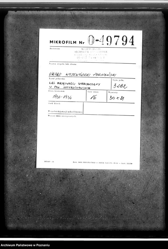 Obraz 2 z jednostki "Las majętności Wierzbiczany w powiecie inowrocławskim"