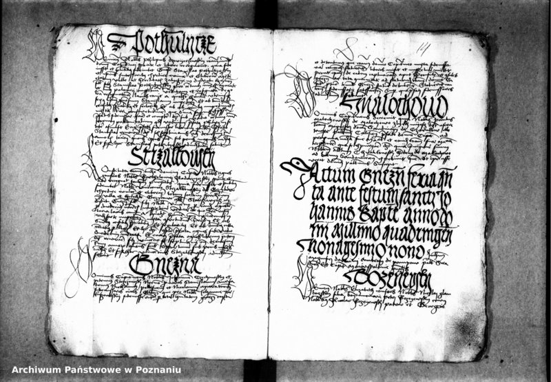 Obraz 20 z jednostki "Inscriptiones, relationes, decreta [inducta]"