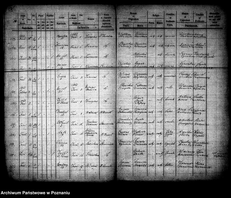 Obraz 13 z jednostki "Księga urodzin"