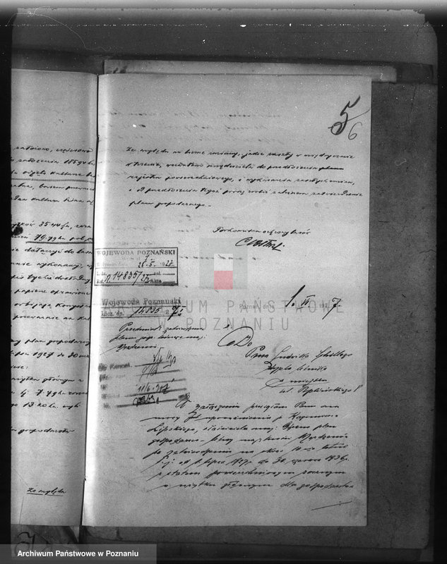 Obraz 10 z jednostki "Majętność leśna Możdzanów powiat ostrowski"