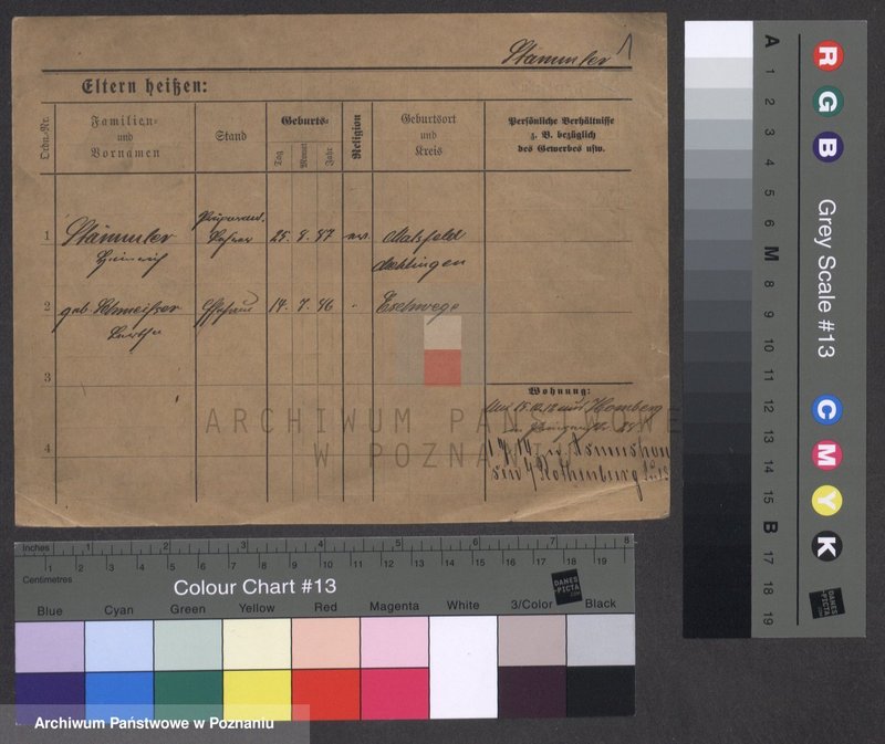 Obraz 4 z jednostki "Stemler - Steńko"