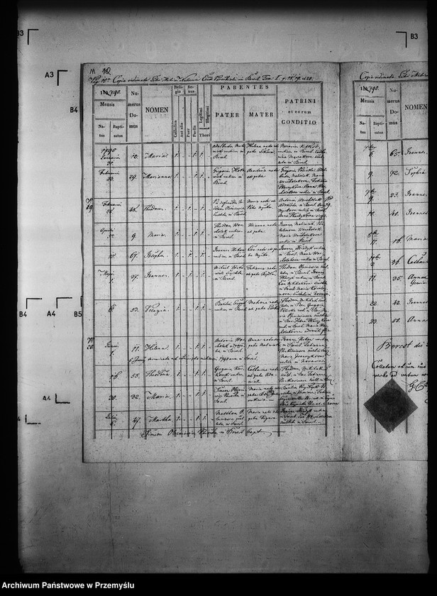Obraz 15 z jednostki "[Kopie ksiąg metrykalnych parafii Berest z filią Polany (dekanat Grybów)]"