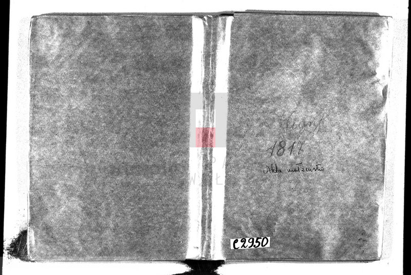 Obraz 2 z jednostki "Akta małżeństwa gminy wigierskiey od 1-go stycznia 1817 do dnia ostatniego grudnia tegoż roku 1817"