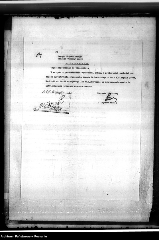 Obraz 18 z jednostki "Las majętności Gierczyce powiatu kępińskiego"