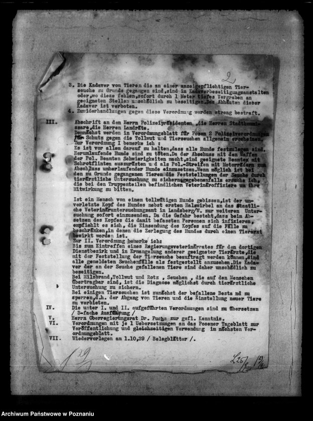 Obraz 6 z jednostki "Tollwut"