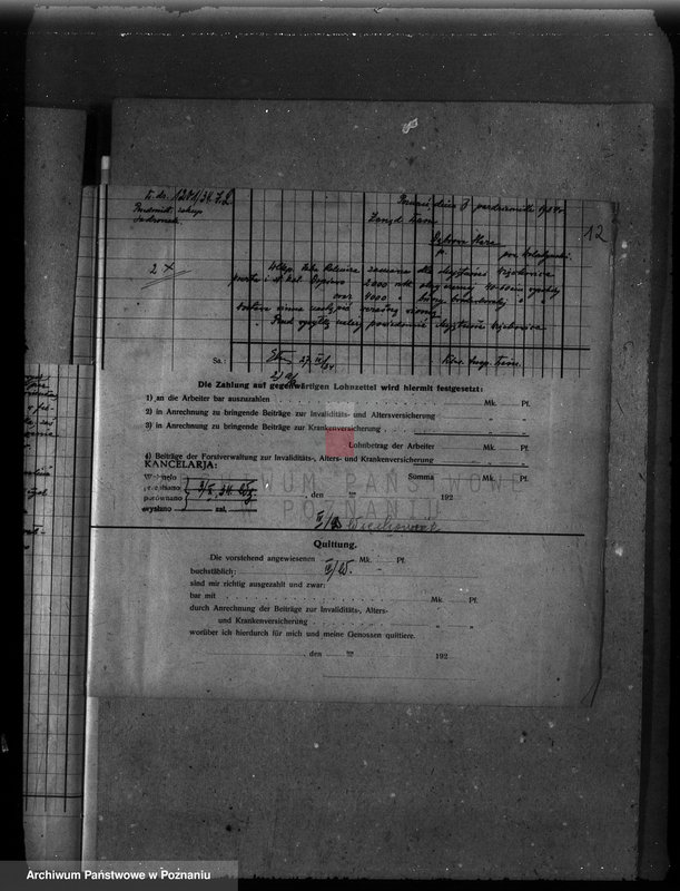 Obraz 16 z jednostki "Program gospodarczy dla lasu J. Kajewskiego w gminie Wiórek powiat poznański 1929-1939"