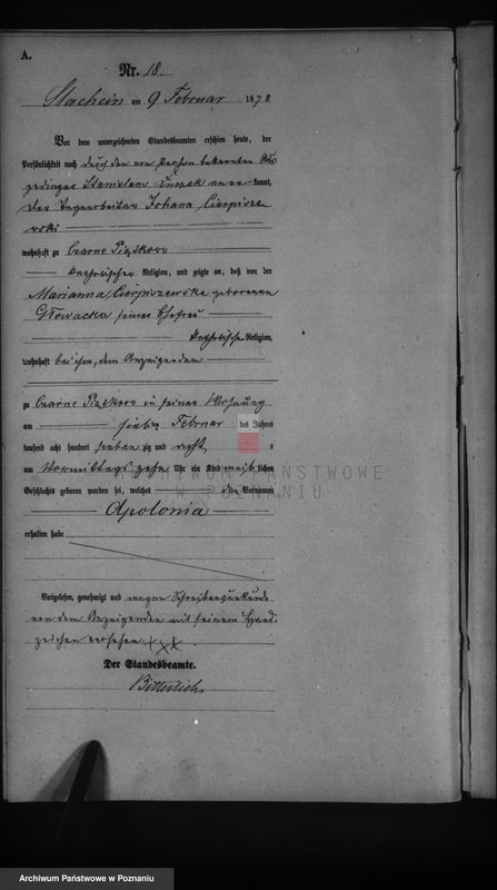 image.from.unit.number "Księga urodzeń"