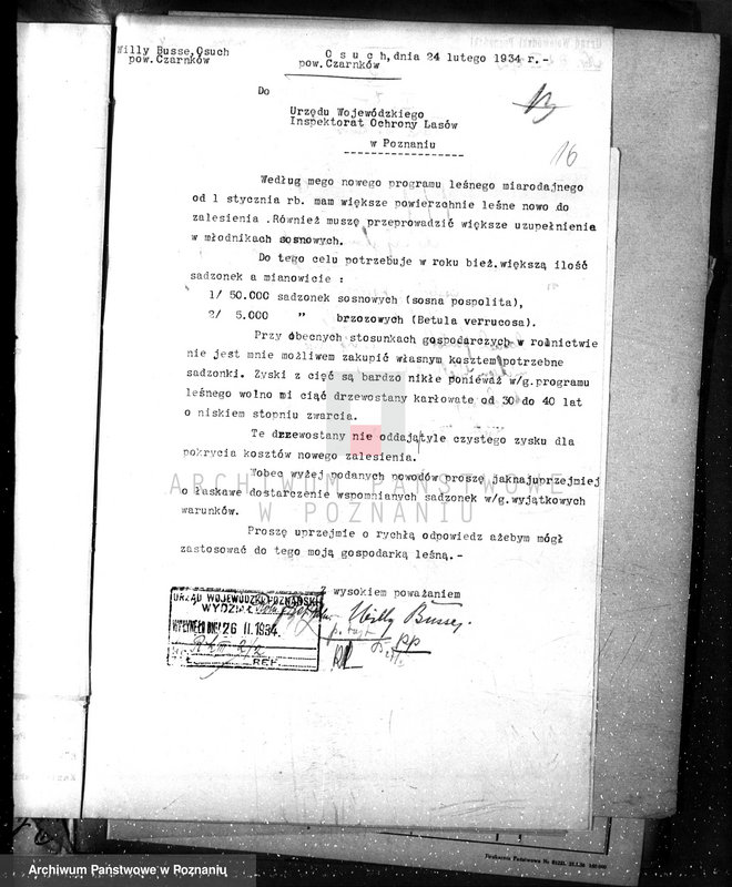 Obraz 20 z jednostki "Zalesianie nieużytków w powiecie czarnkowskim"