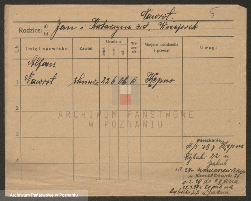 Obraz 5 z jednostki "Nawroczyński - Nejman"