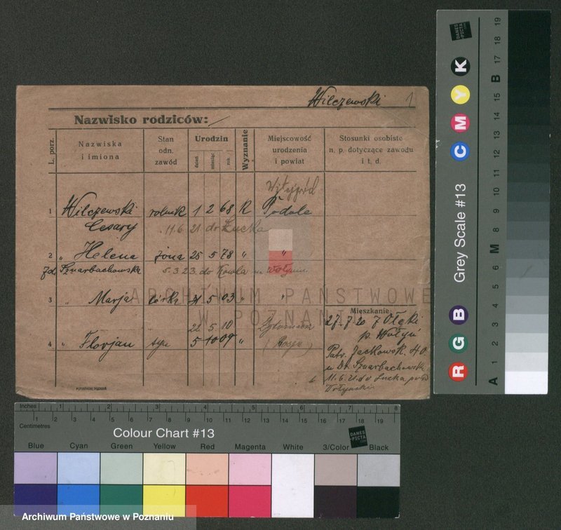 Obraz 5 z jednostki "Wilczewicz - Wiler"