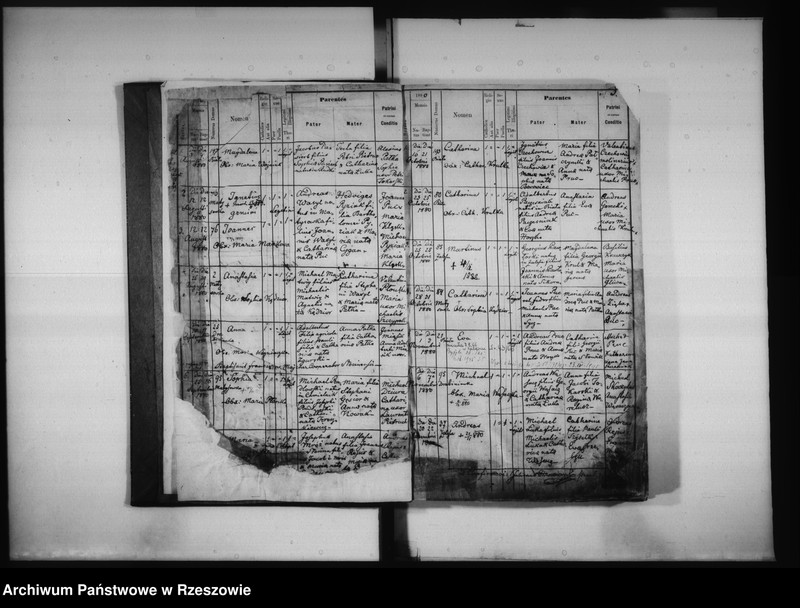 image.from.unit.number "Księga urodzeń Biała, Matysówka, Zalesie Drabinianka, Rzeszów, Tyczyn"