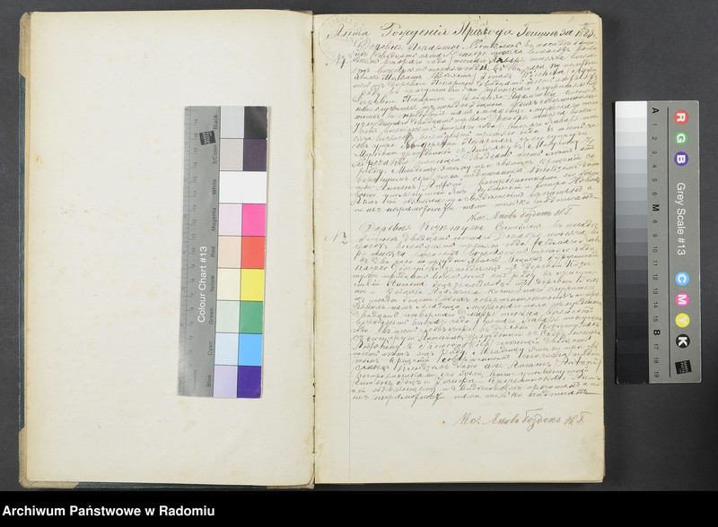 Obraz 2 z jednostki "[Duplikat akt urodzonych, zaślubionych i zmarłych parafii Goszczyn za 1883 r.]"