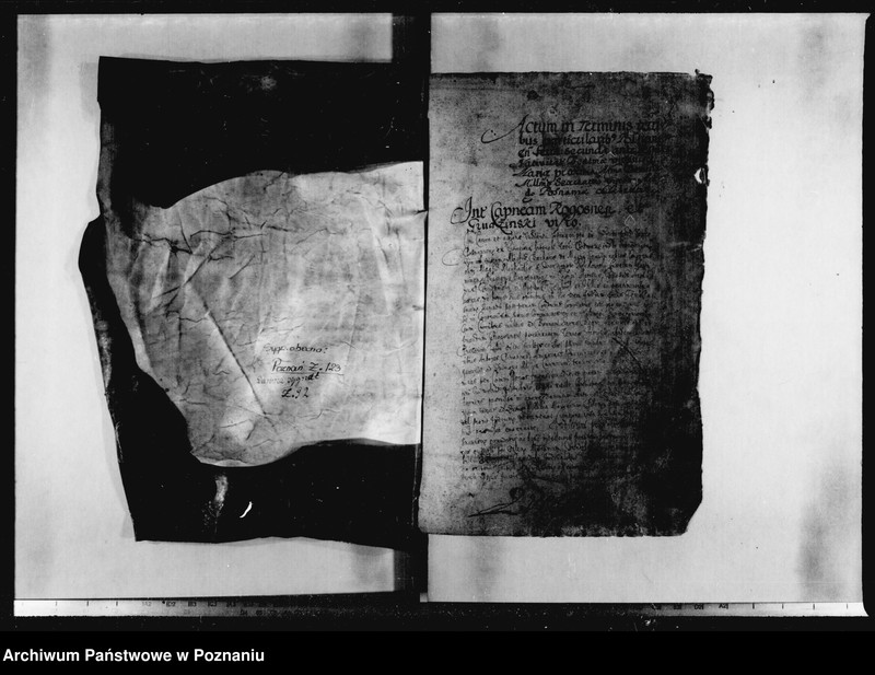 Obraz 4 z jednostki "Decreta [inducta]"