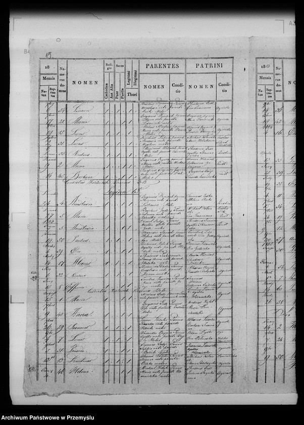 Obraz 19 z jednostki "[Kopie ksiąg metrykalnych parafii Bełz z filiami Prusinów, Tuszków, Witków (dekanat Bełz)]"
