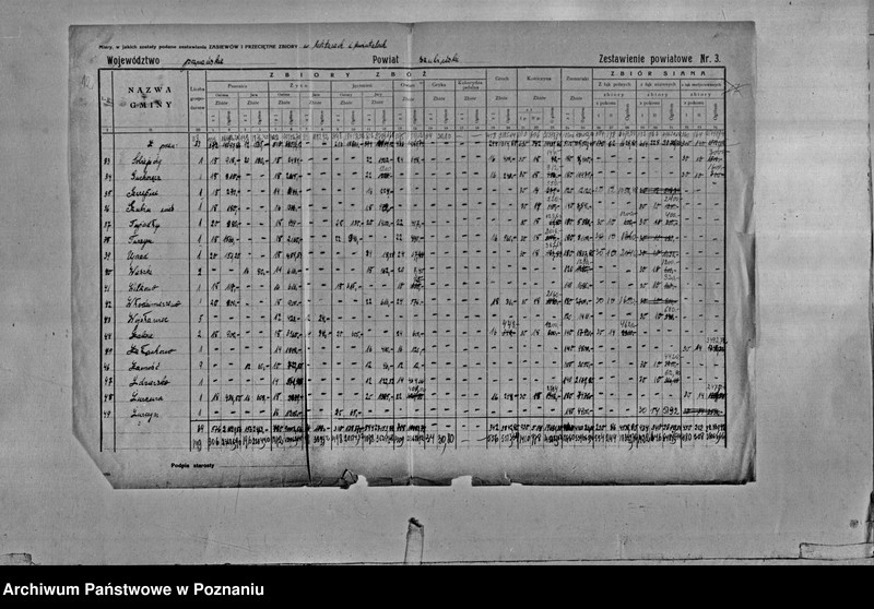 Obraz 14 z jednostki "/Statystyka produkcji rolnej - zestawienie powiatowe - Szubin"