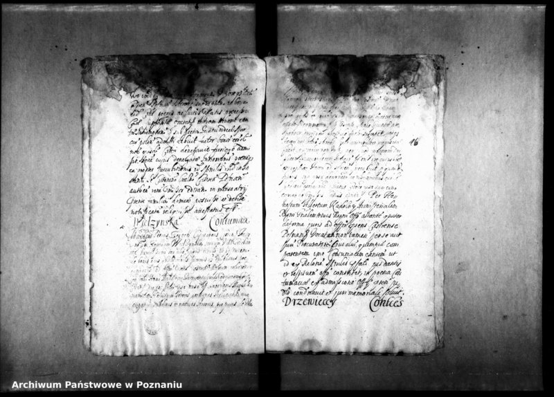 Obraz 20 z jednostki "Decreta officii [inducta]"