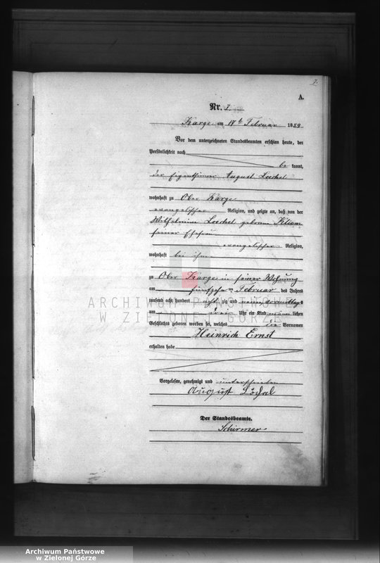 Obraz 10 z jednostki "[Księga aktów urodzenia]"