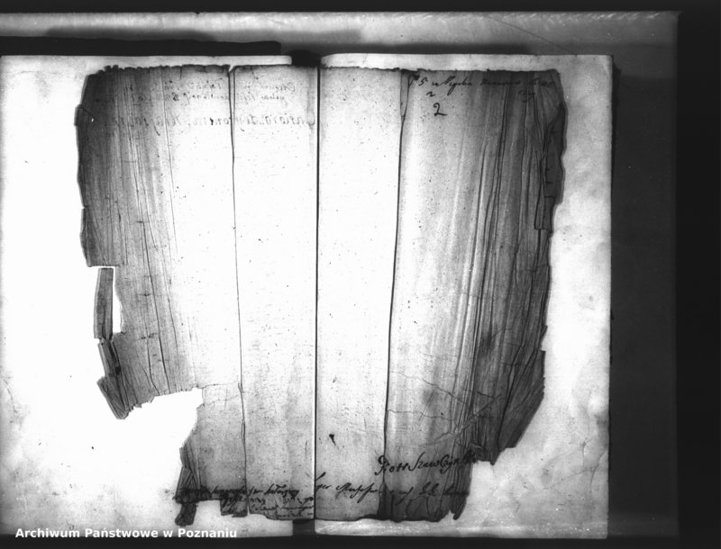 Obraz 6 z jednostki "Relationes [protocollon]"