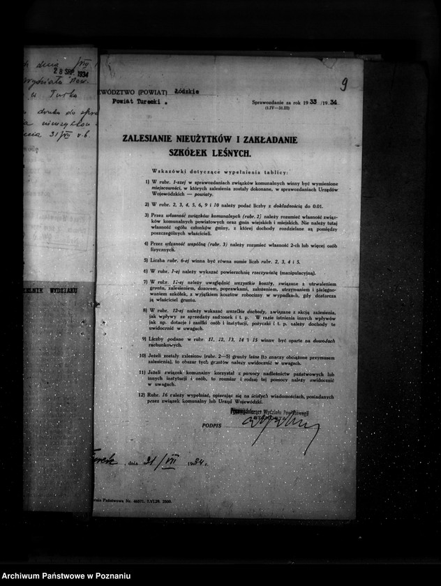 Obraz 13 z jednostki "Zalesienie nieużytków w powiecie tureckim"