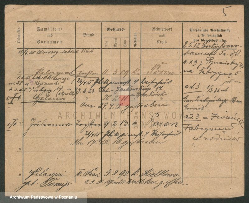 Obraz 13 z jednostki "Szymanda - Szymbowski"