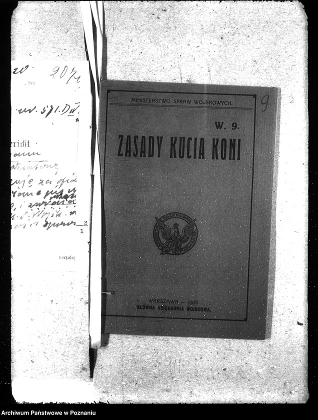 Obraz 14 z jednostki "Podkuwacze koni"