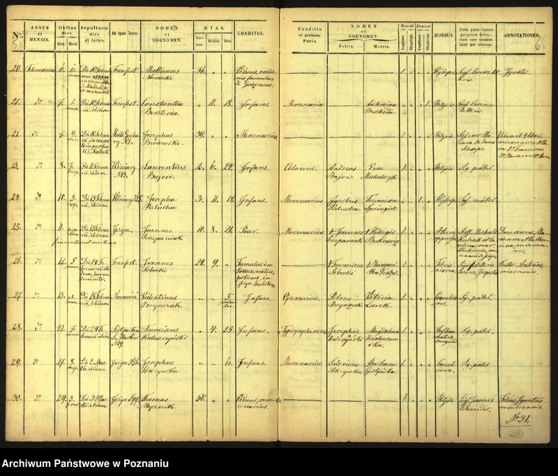 Obraz 6 z jednostki "Księga zgonów"