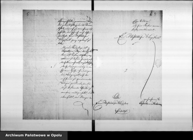Obraz 9 z jednostki "Acta des Magistrats zu Oppeln betreffend die Untersuchung der Grenzstreitigkeiten durch die Grenz - Deputation. De Anno 1841. Vol. V"