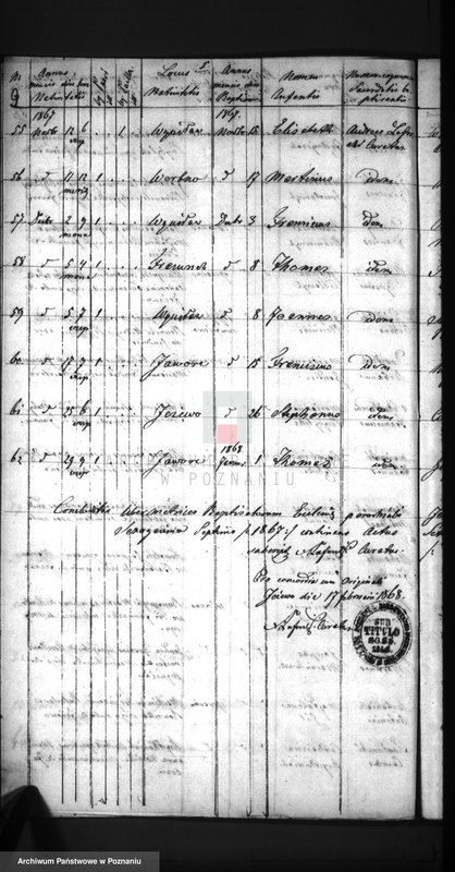 Obraz 12 z jednostki "Duplikat baptisatorum, copulatorum, mortuorum"