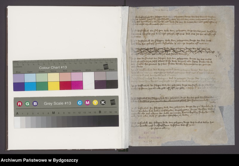 image.from.unit.number "[Księga ławnicza miasta Nowego]"