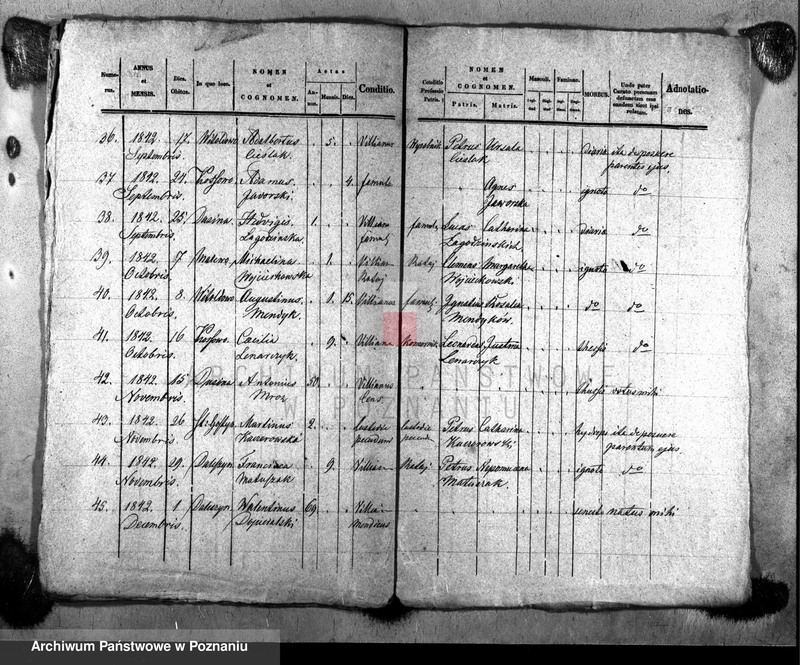 Obraz 5 z jednostki "Liber mortuorum"