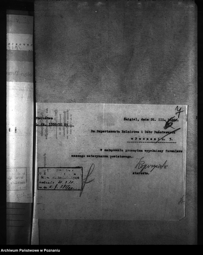 Obraz 11 z jednostki "[weterynarze narodowości niemieckiej]"