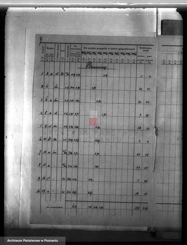 Obraz 13 z jednostki "Plan urządzenia gospodarstwa leśnego dla lasu majętności Śródka w powiecie międzychodzkim 1930-1940"