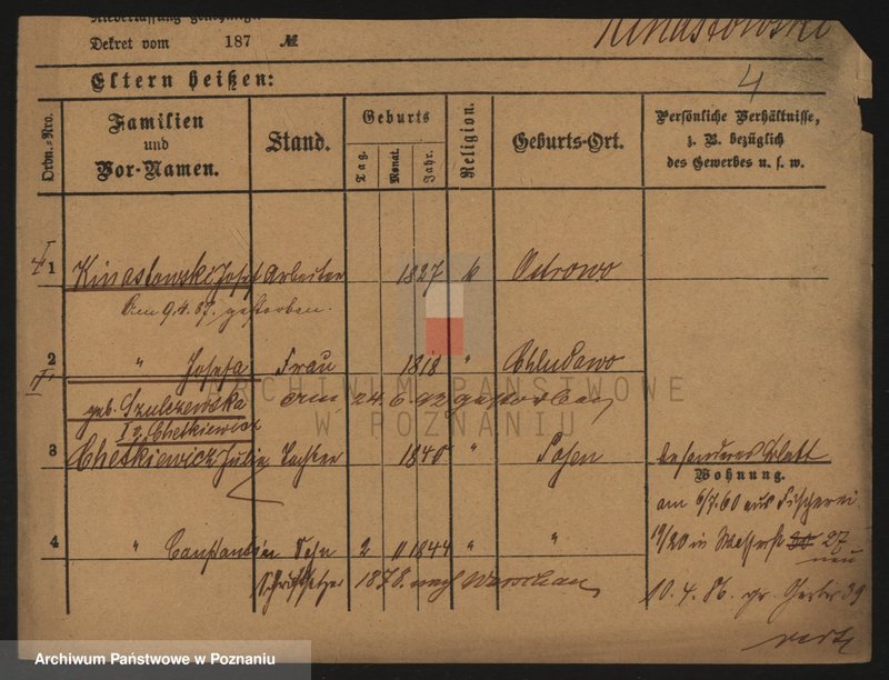 Obraz 4 z jednostki "Kinastowski - Kinowski"