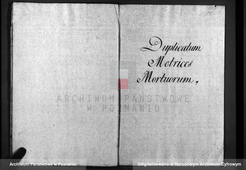 image.from.unit.number "Duplicatum baptisatorum, copulatorum, mortuorum"
