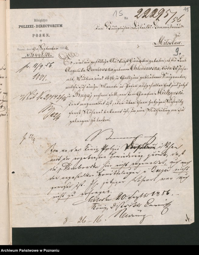 Obraz 19 z jednostki "A. betr. Personalia der Witwe Angelica von Dembowska und ihre Söhne Czeslaw und Eduard"