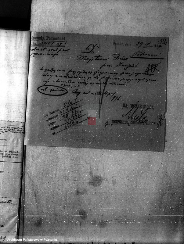 Obraz 16 z jednostki "Nadzór nad gospodarką w lasach majętności Bucz powiat kościański"