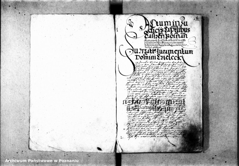 Obraz 5 z jednostki "Inscriptiones [inducta]"