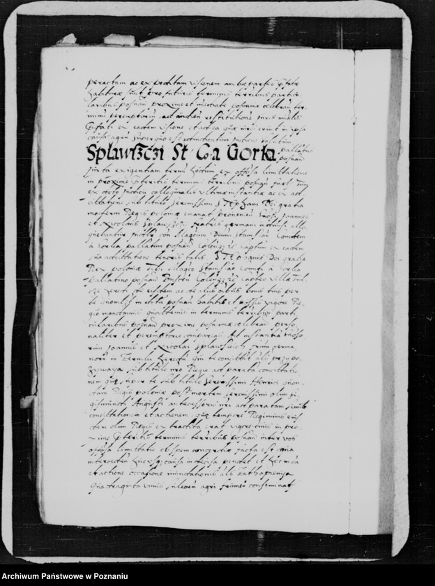 Obraz 19 z jednostki "Inscriptiones, relationes, decreta [inducta]"