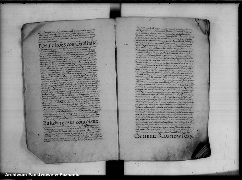 Obraz 13 z jednostki "Inscriptiones, relationes [inducta]"