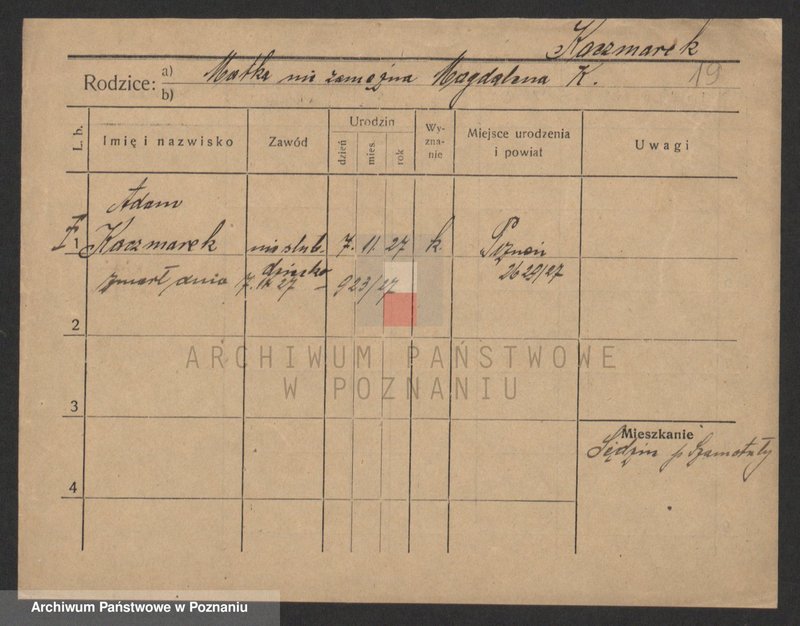 Obraz 19 z jednostki "Kaczmarek A-H (samotni mężczyźni)"