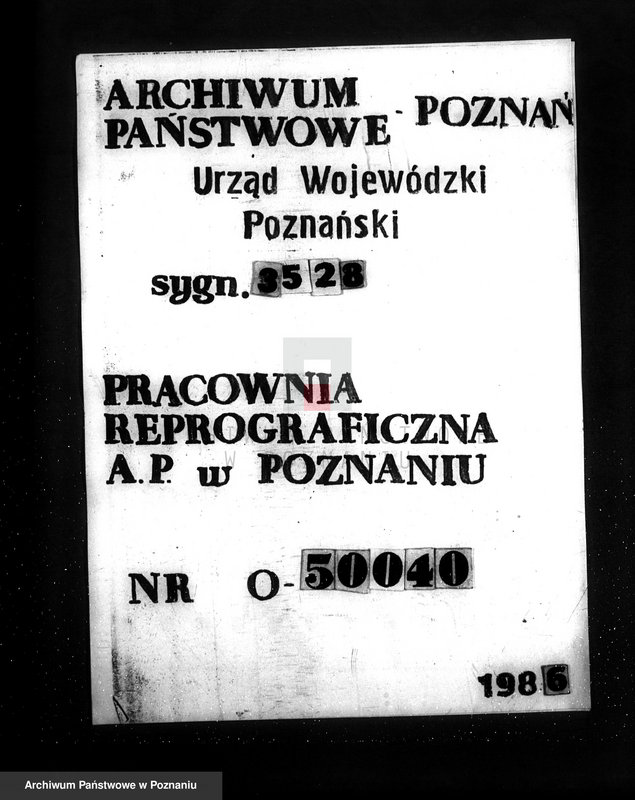 Obraz 1 z jednostki "Majętność /leśna/ Wilkowo Polskie powiat kościański"