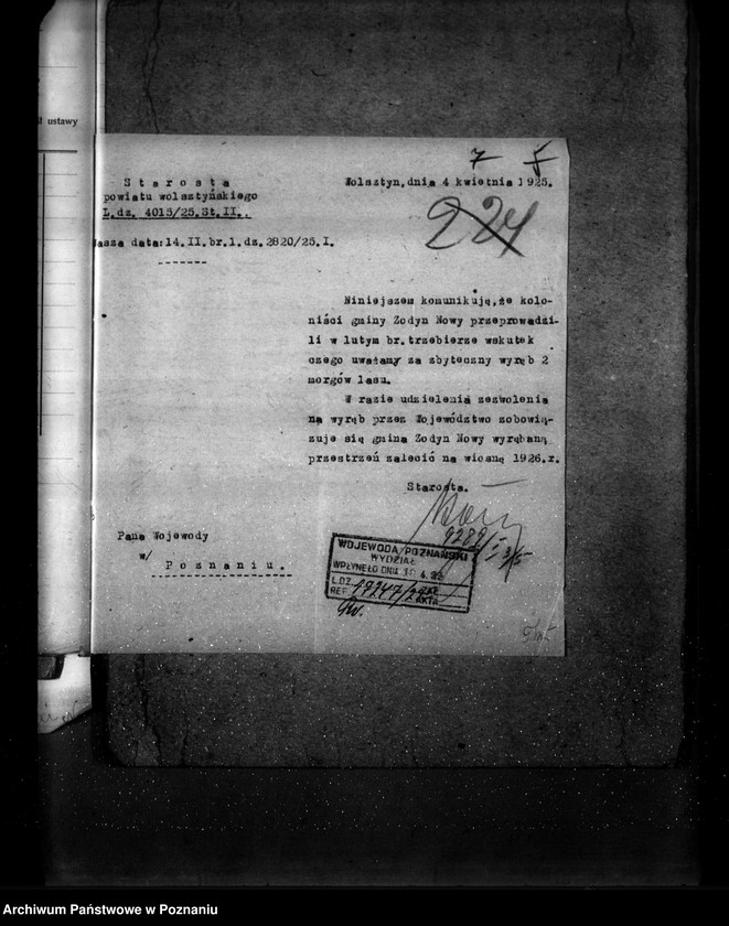 Obraz 11 z jednostki "Las gromady Żodyń Nowy powiat wolsztyński"