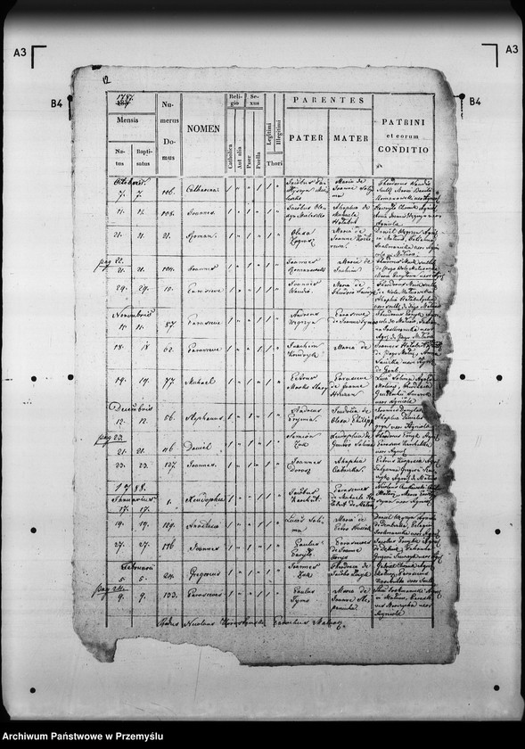 Obraz 17 z jednostki "[Kopie ksiąg metrykalnych parafii Małnów (dekanat Mościska)]"