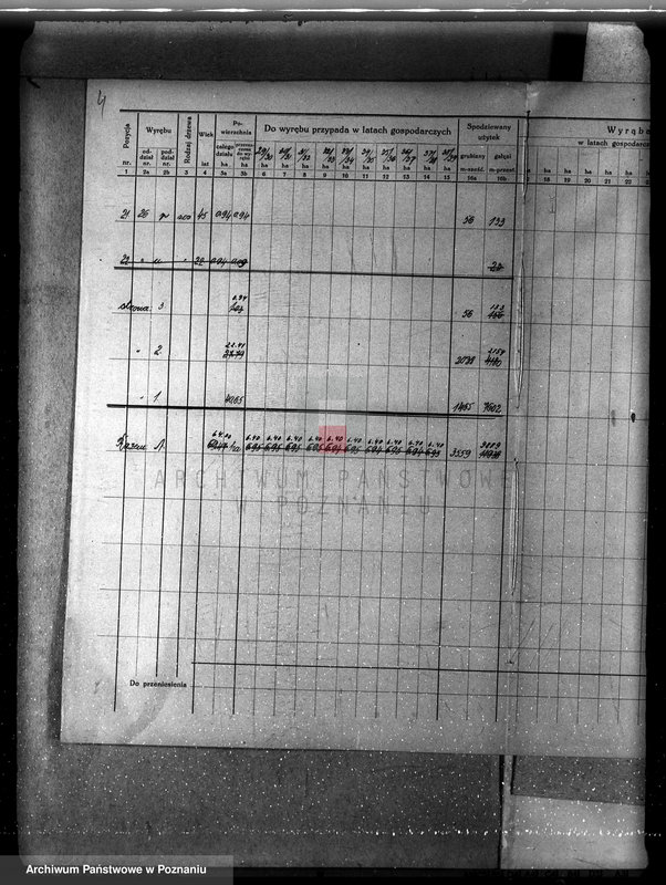 Obraz 9 z jednostki "Nadzór nad gospodarką leśną majątku Sławno powiat czarnkowskim"