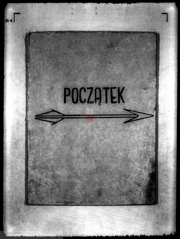 Obraz 3 z jednostki "/Towarzystwo Miłośników Ogrodnictwa w Gnieźnie/"