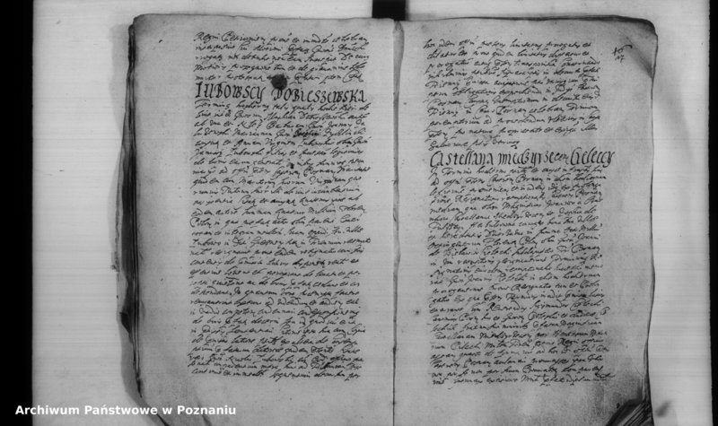 Obraz 20 z jednostki "Inscriptiones [inducta]"